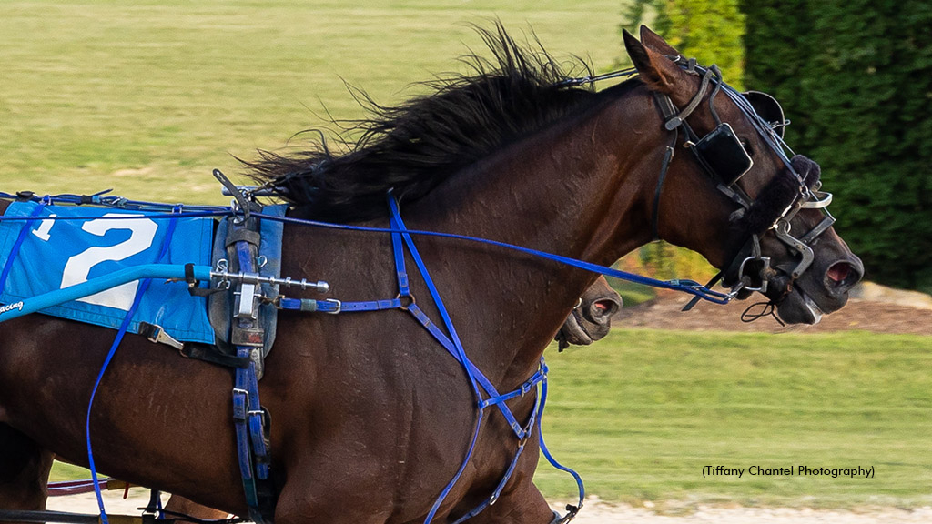 Timewaitsonnoone winning at Grand River Raceway