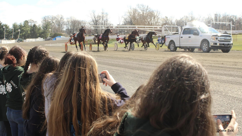 Freehold 4H Group