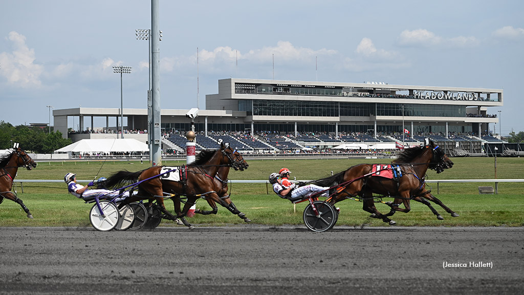 Harness racing at The Meadowlands