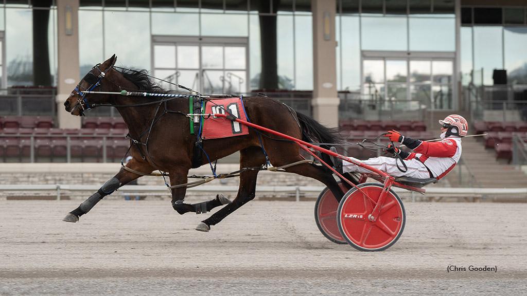 Paper Heart winning at The Meadows