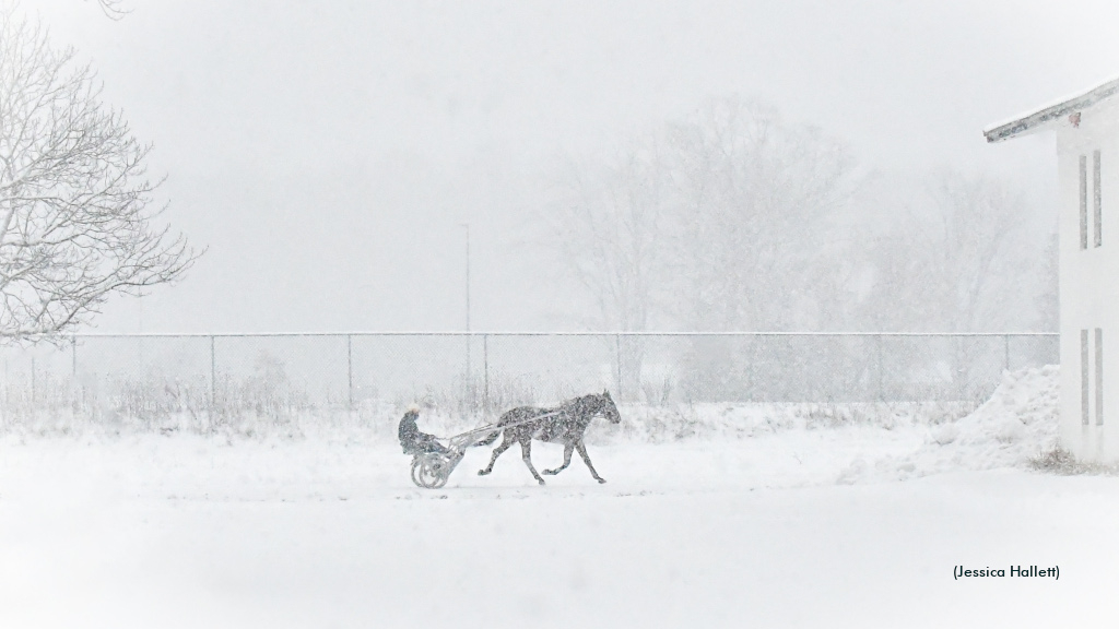 Horse training in snow