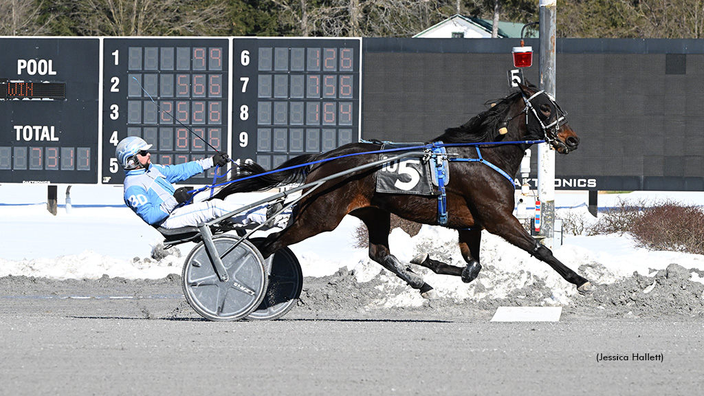 Tiktok Roy winning at Saratoga Raceway