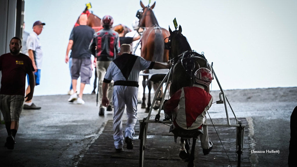 Horses head to the track at Yonkers Raceway