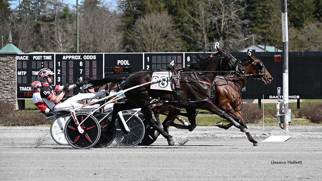 Always Watching winning at Saratoga Raceway