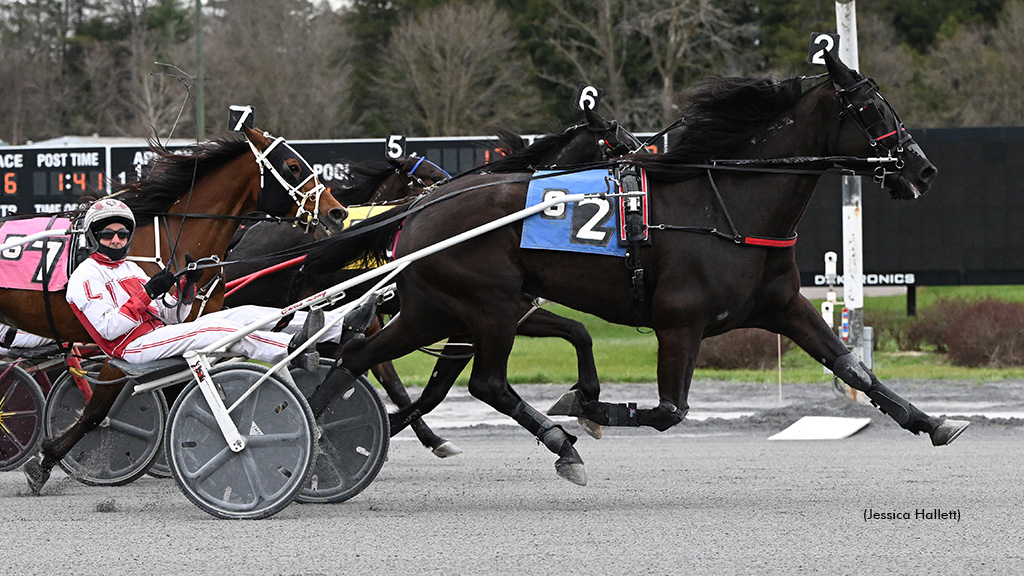 Free Willy Hanover winning at Saratoga Casino Hotel