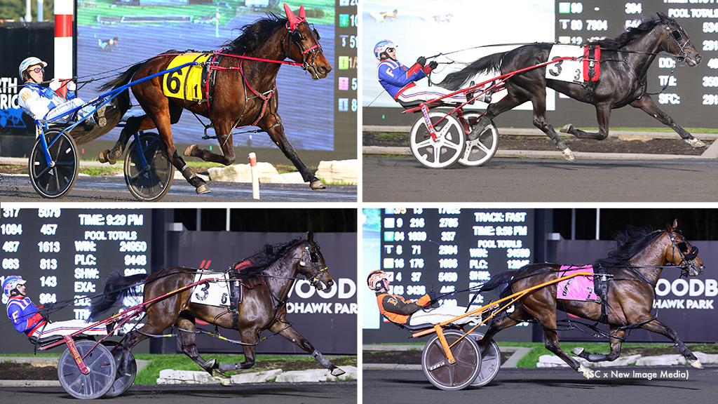 Ontario Sired Spring Series