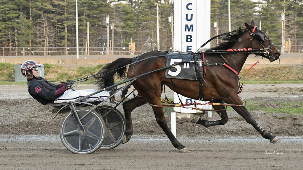 Polyester winning at First Tracks Cumberland