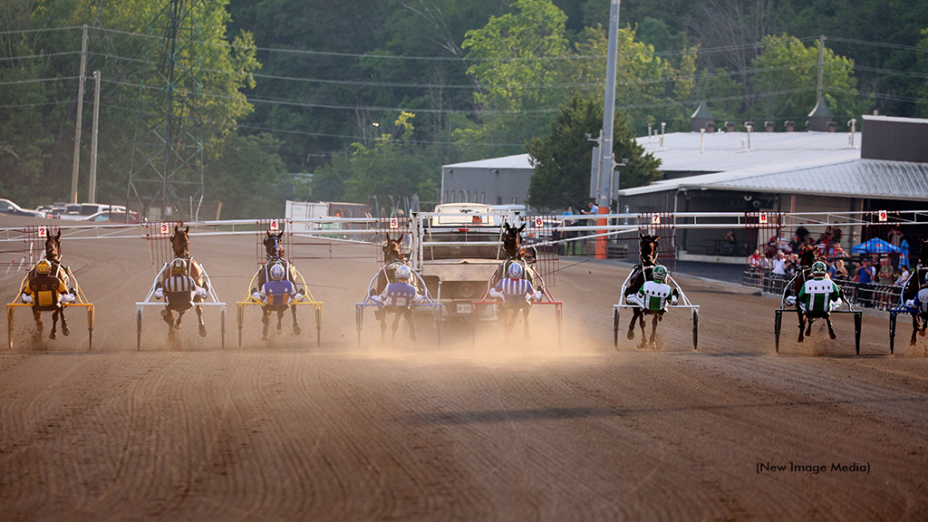 Horses behind the starting gate at Woodbine Mohawk Park