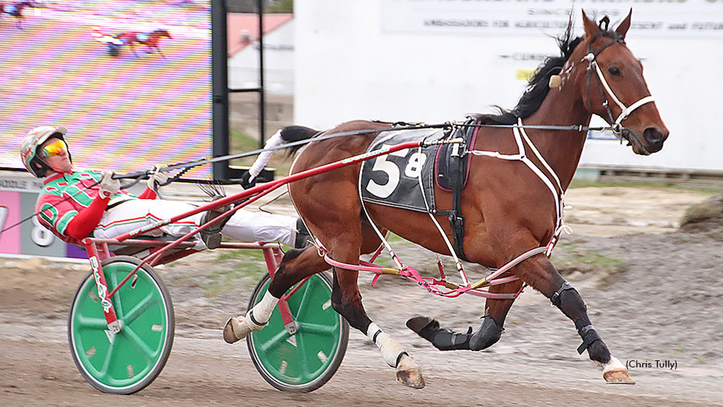 The Bird Dance N winning at First Tracks Cumberland