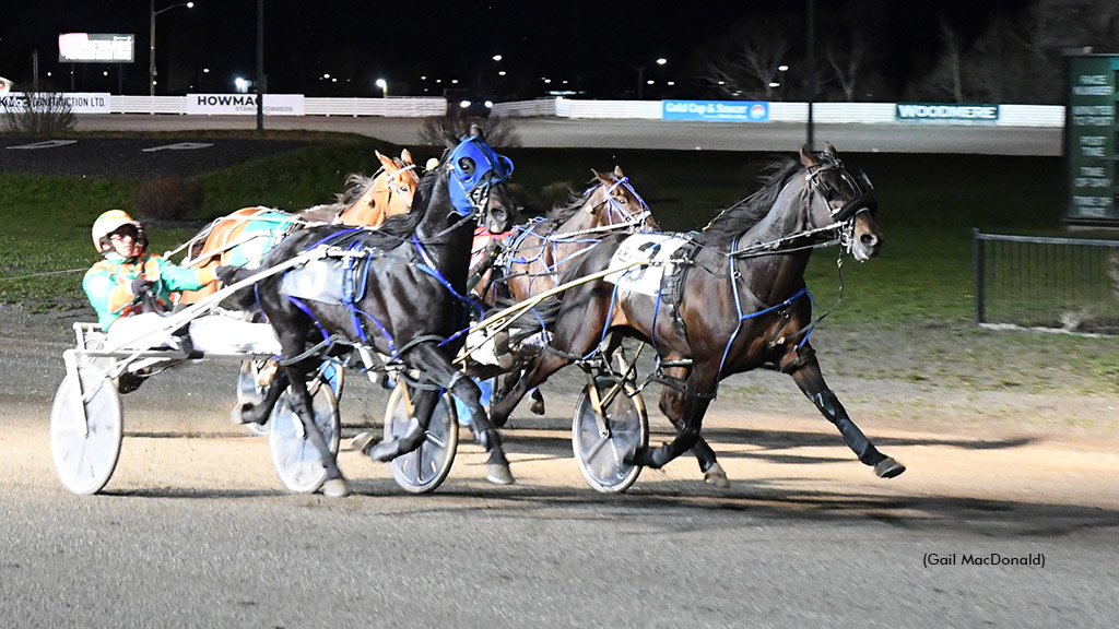 Blood Money winning at Charlottetown Driving Park