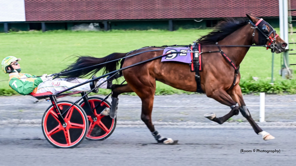 Call Me Goo, winning at Rosecroft