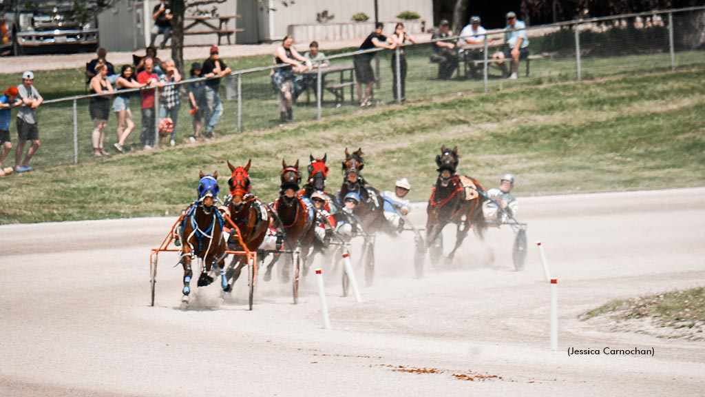 Harness racing at Clinton Raceway