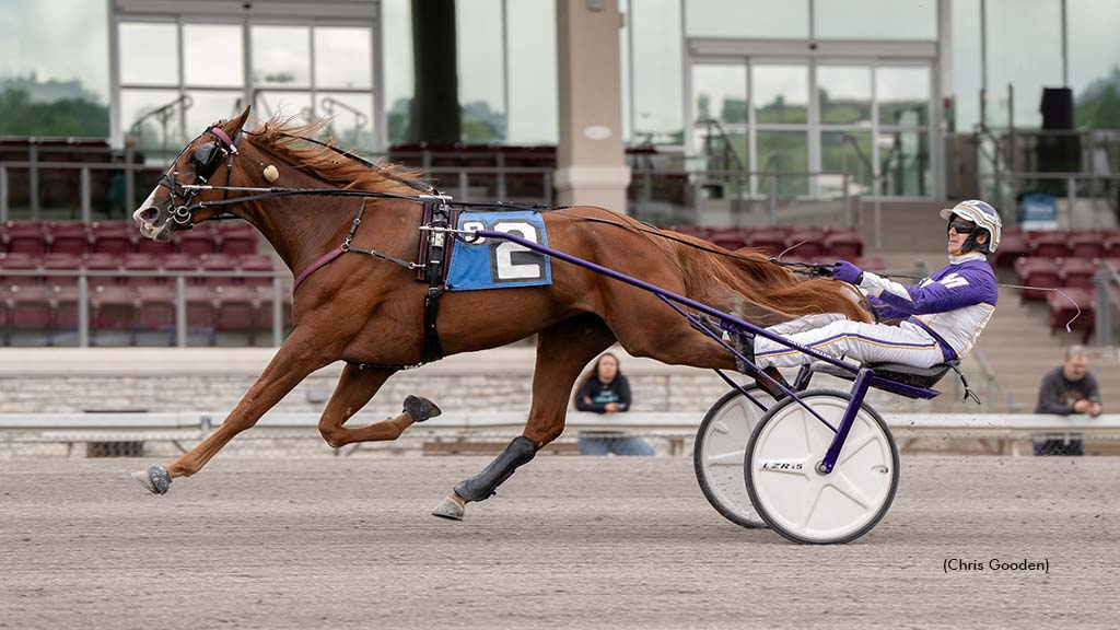 Elista Hanover winning at The Meadows