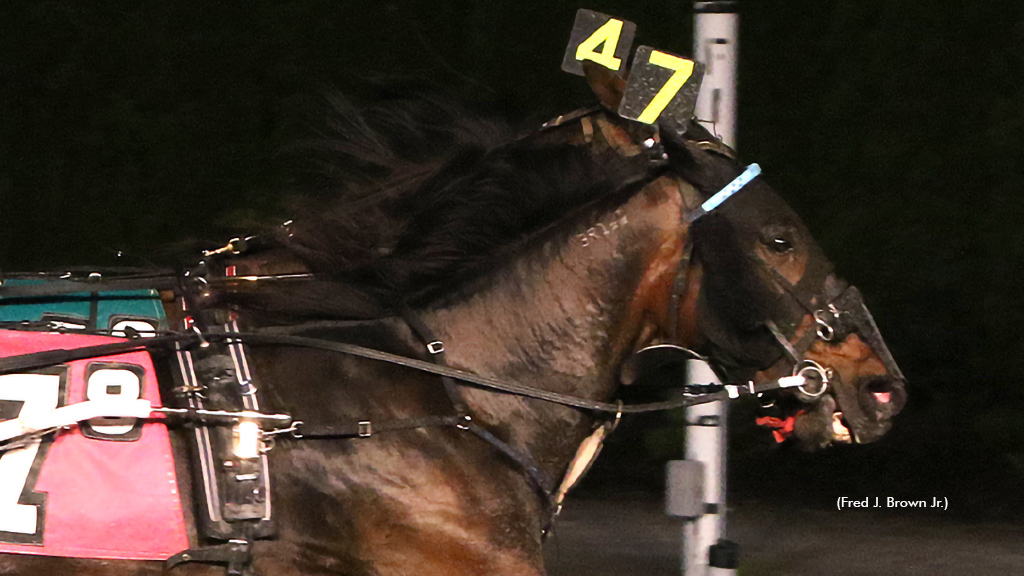 Emma Town Bud winning at Tioga Downs