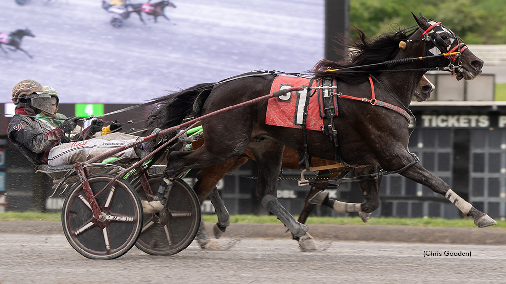 Green Magic winning at The Meadows