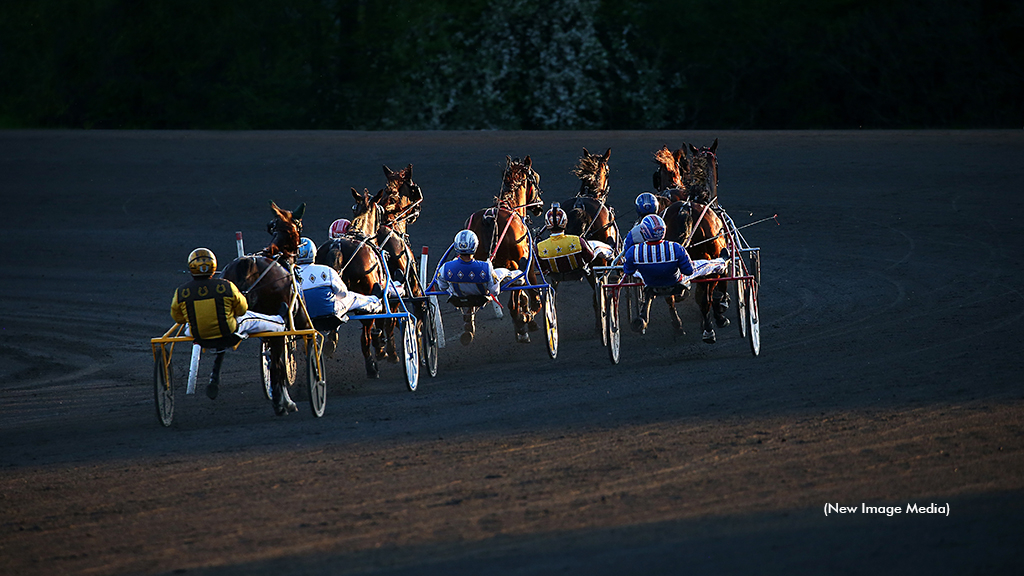 Harness racing drivers