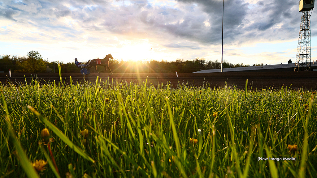 A Standardbred on track with the sun shining at Woodbine Mohawk Park