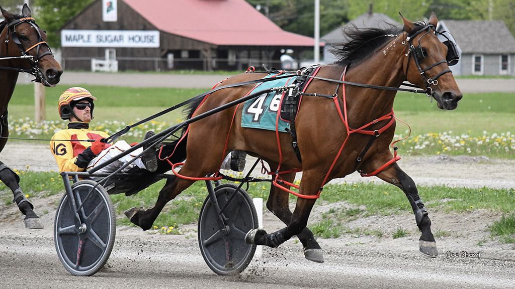 Lexus Witha View A winning at First Tracks Cumberland