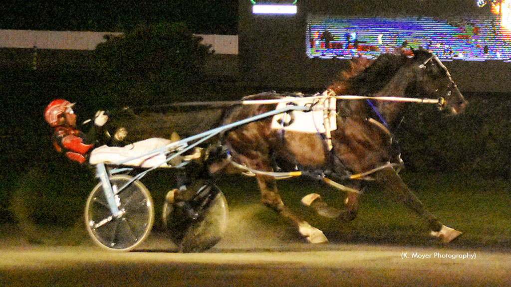 Lyons Stealth winning at Ocean Downs