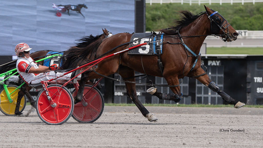 Marloe Hanover winning at The Meadows