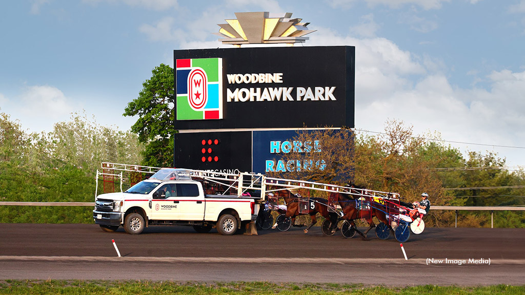 Horses behind the starting gate in front of a Woodbine Mohawk Park sign