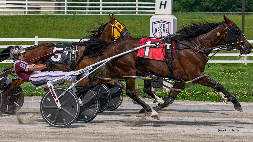 Odds On Blockchain Cashes In Oak Grove Open | Standardbred Canada