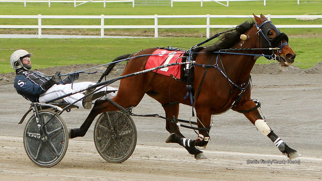 Outlaw Sharktastic winning at Century Downs