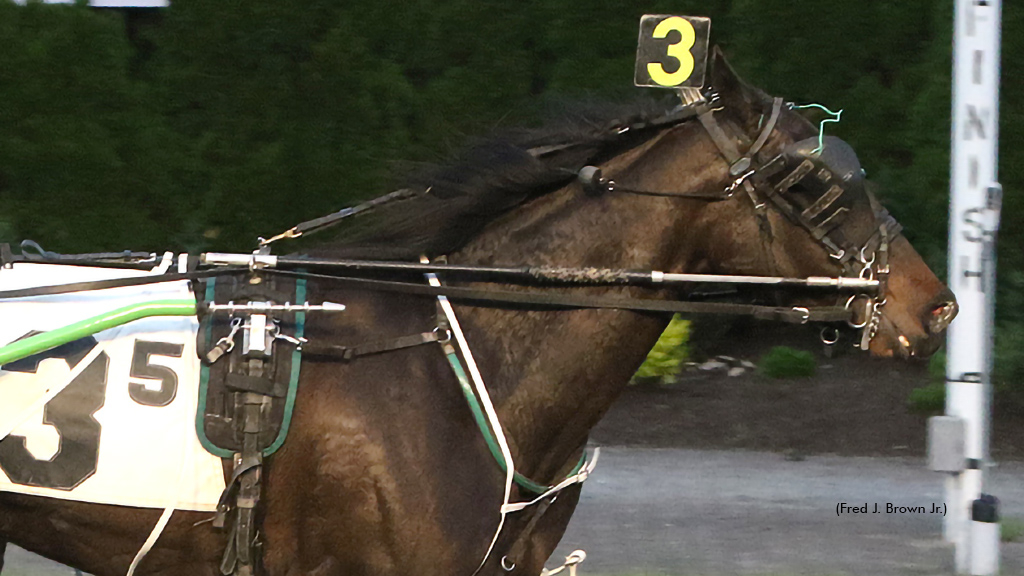 P L Princess C winning at Tioga Downs