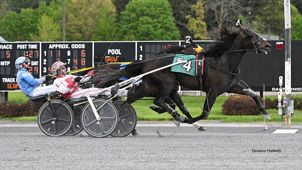 Packmia winning at Saratoga Raceway