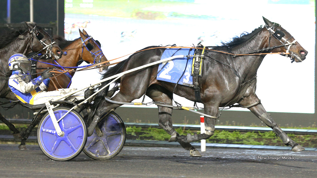 Prohibition Legal winning at Woodbine Mohawk Park