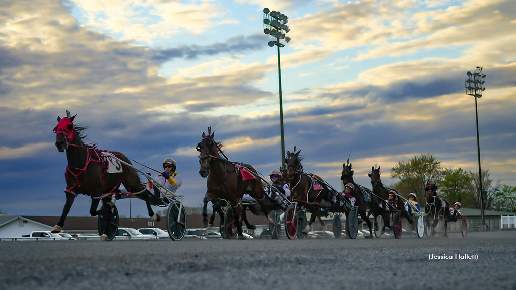 Harness racing at Saratoga Raceway