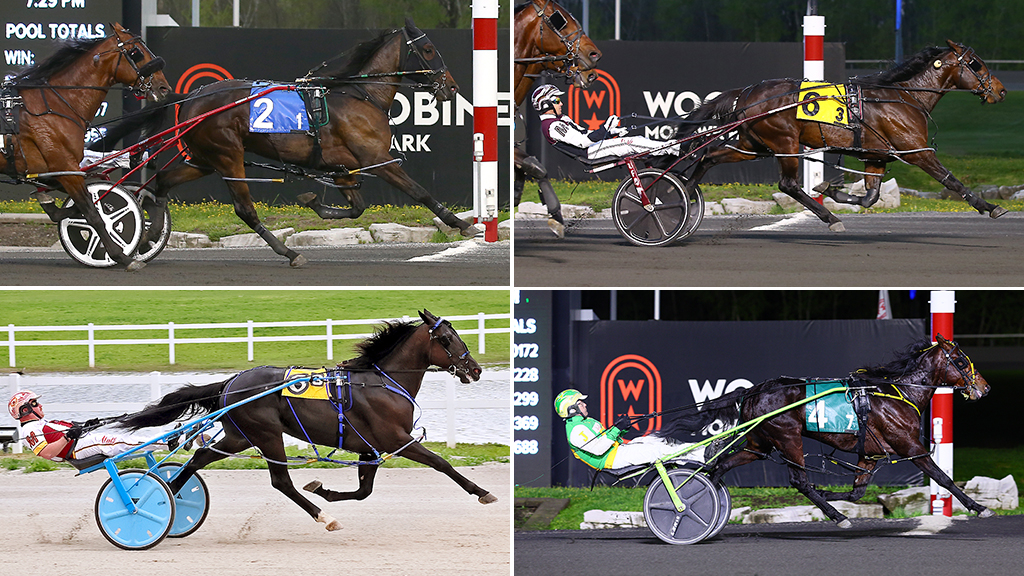 Clockwise from top left: Funtime Bayama, Enforcer, Lous World and Clever Cody