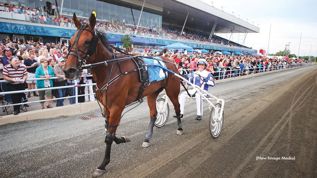 Bee A Magician at Mohawk Racetrack