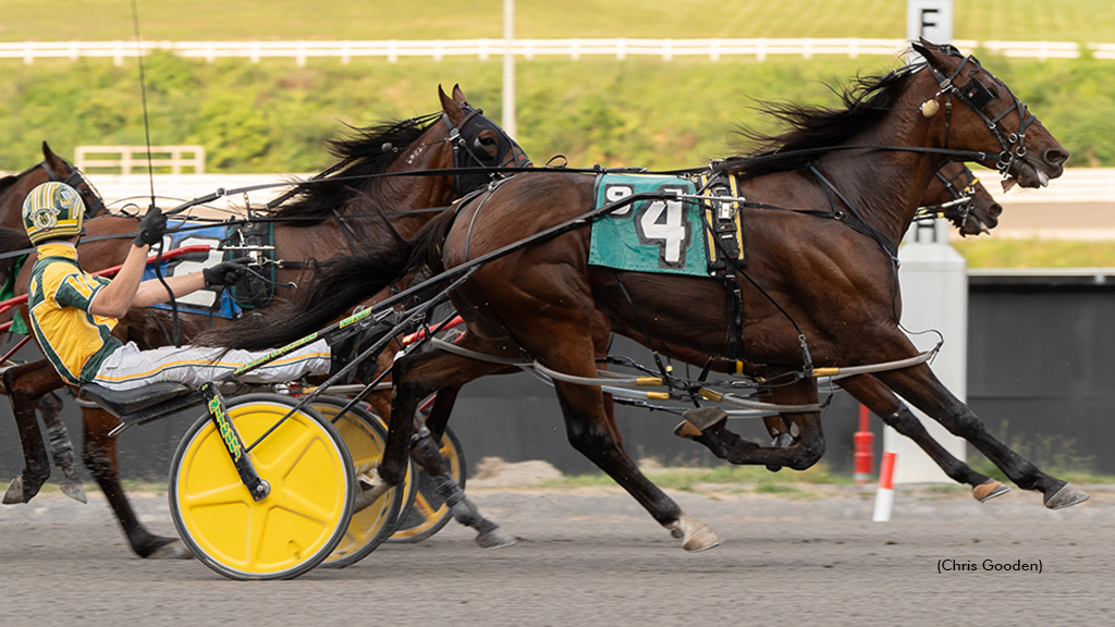 Gung Ho winning at The Meadows