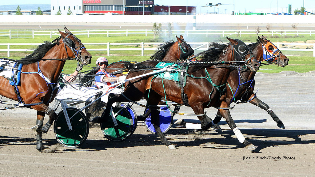 In High Cotton winning at Century Downs