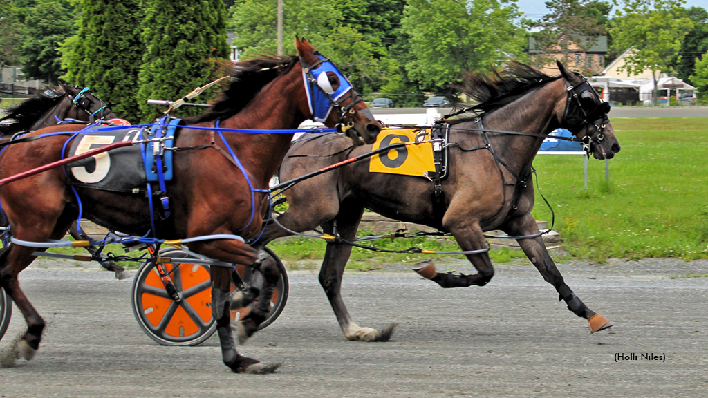 Justcallemebuck winning at Bangor Raceway