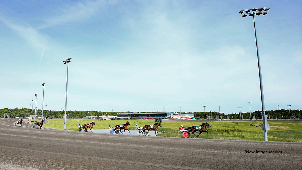 Two-year-olds in a qualifying race at Woodbine Mohawk Park