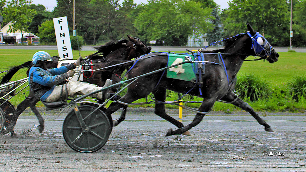 My Sweet Revenge winning at Bangor Raceway