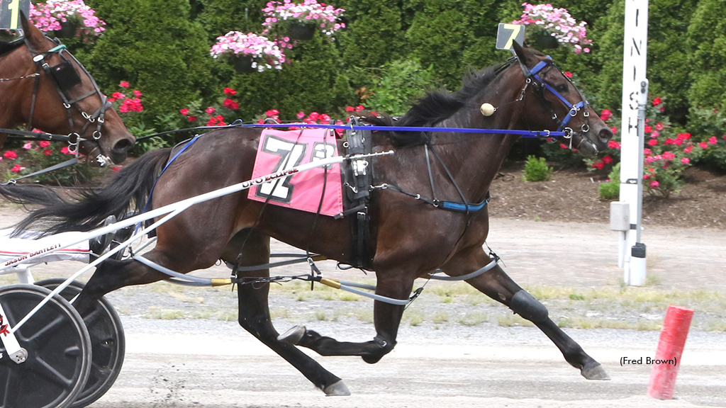 Peace Talks winning at Tioga Downs