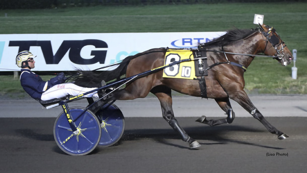 Periculum winning at The Meadowlands