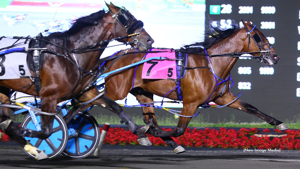 Prince Hal Hanover winning at Woodbine Mohawk Park