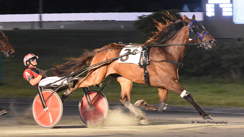 Sinatra De Vie winning at Ocean Downs