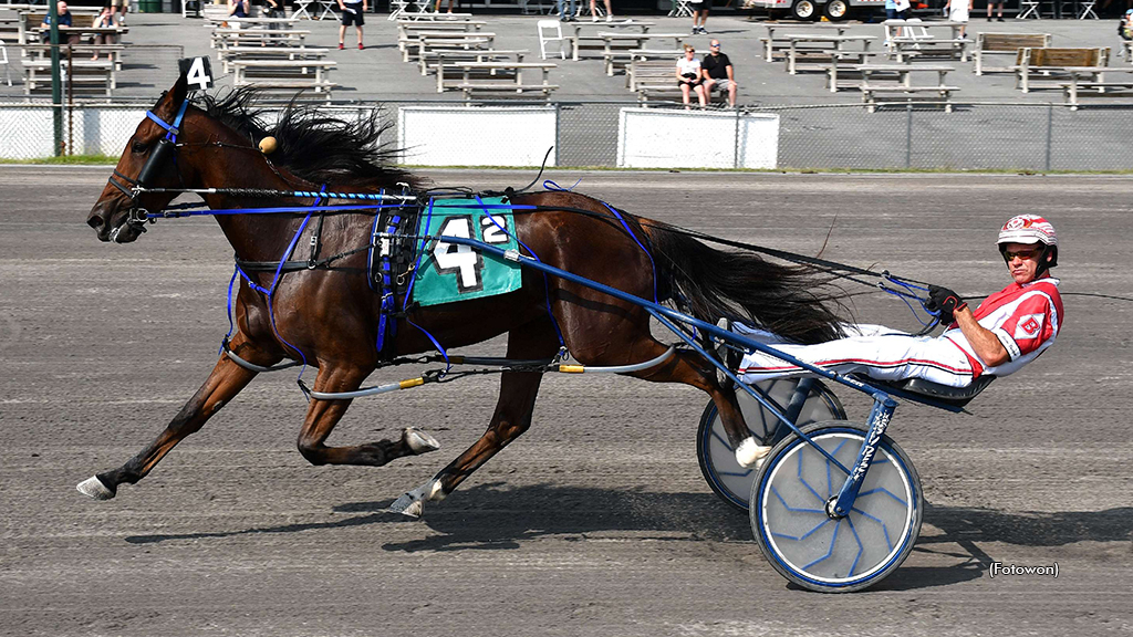 Tarrific winning at Vernon Downs