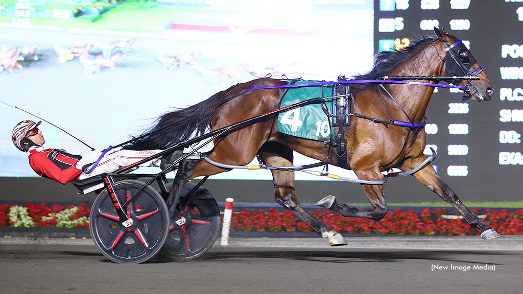 Twin B Joe Fresh Victorious In Roses Are Red Stakes | Standardbred Canada