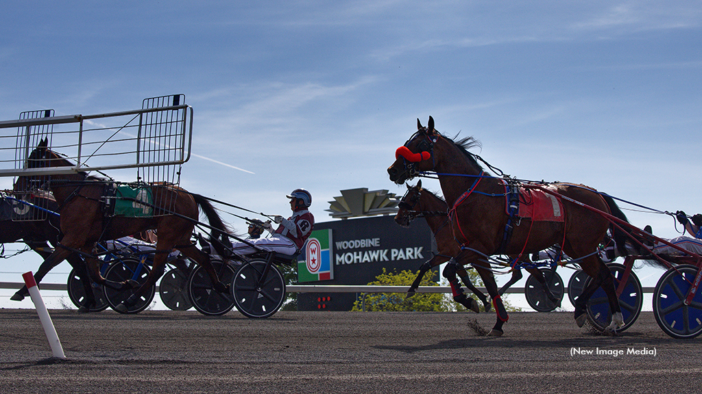 Horses head to the gate for qualifiers at Woodbine Mohawk Park