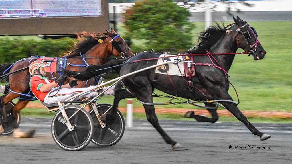 Babes All In winning at Ocean Downs