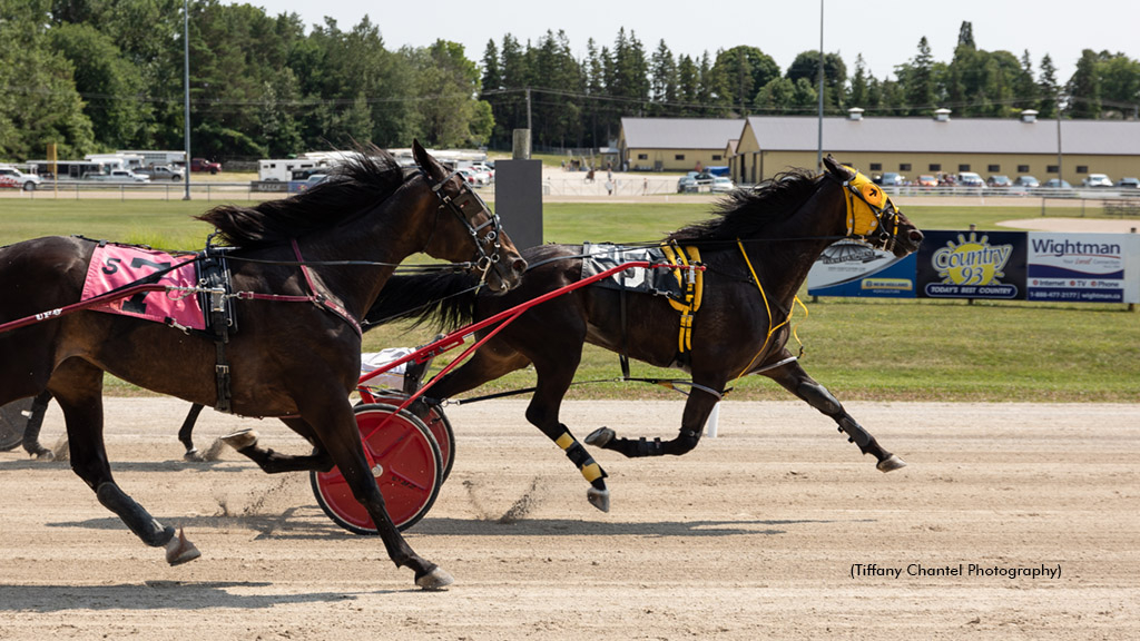 Captain Wania winning at Hanover Raceway