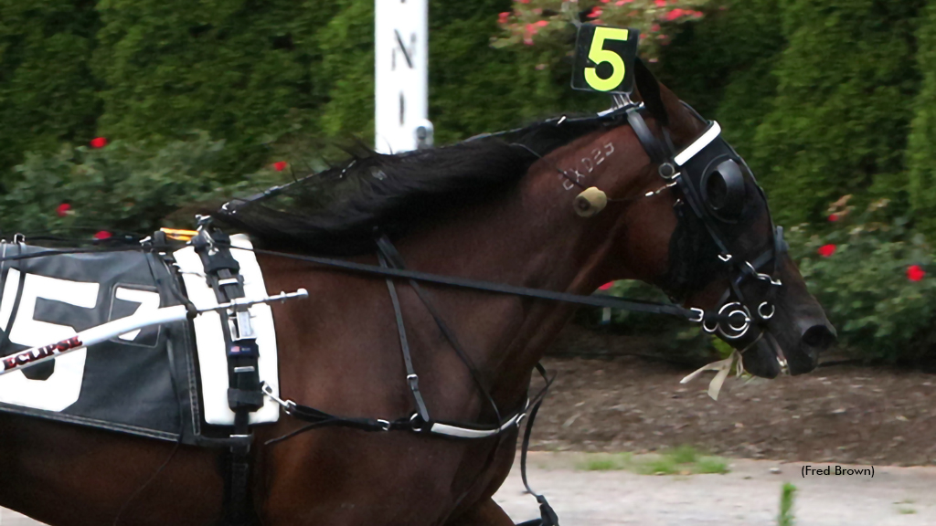 Cowgirl Hanover winning at Tioga Downs