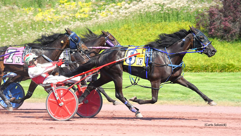 Diamante Hanover