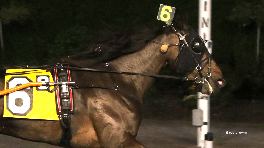 Duly Resolved winning at Tioga Downs